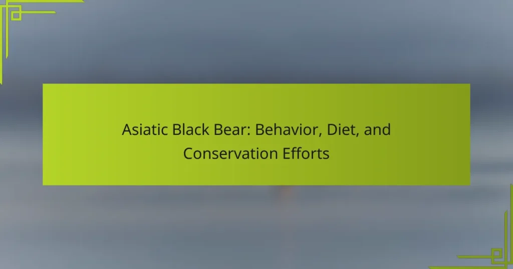 Asiatic Black Bear: Behavior, Diet, and Conservation Efforts