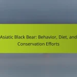 Asiatic Black Bear: Behavior, Diet, and Conservation Efforts