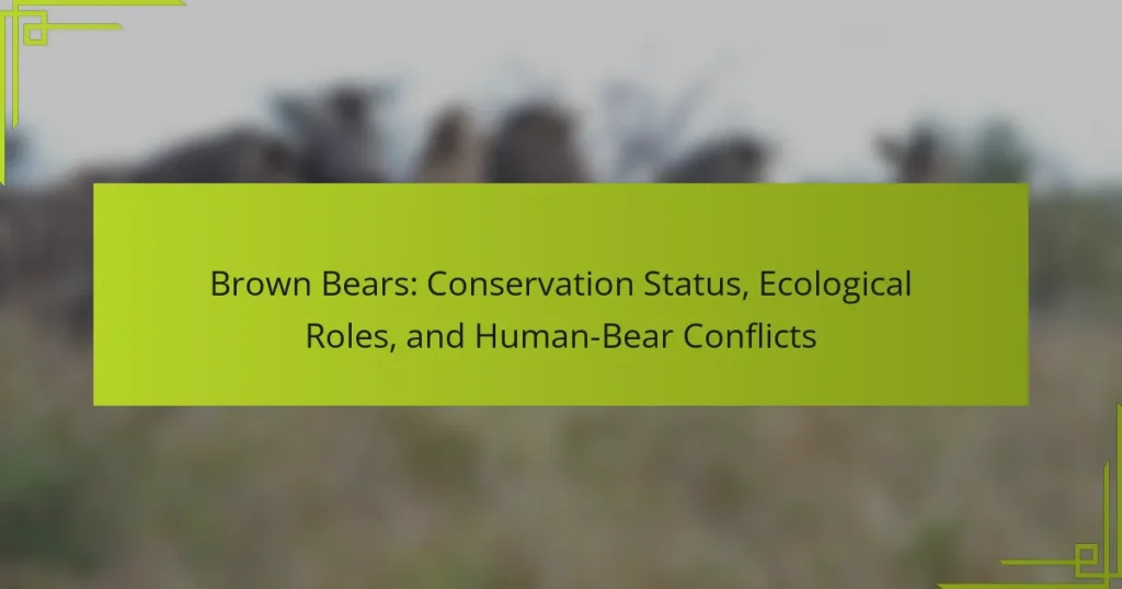 Brown Bears: Conservation Status, Ecological Roles, and Human-Bear Conflicts