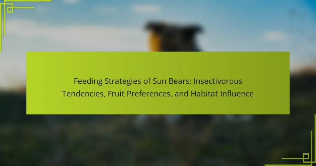 Feeding Strategies of Sun Bears: Insectivorous Tendencies, Fruit Preferences, and Habitat Influence