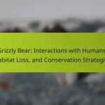 Grizzly Bear: Interactions with Humans, Habitat Loss, and Conservation Strategies