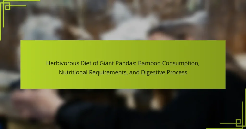 Herbivorous Diet of Giant Pandas: Bamboo Consumption, Nutritional Requirements, and Digestive Process