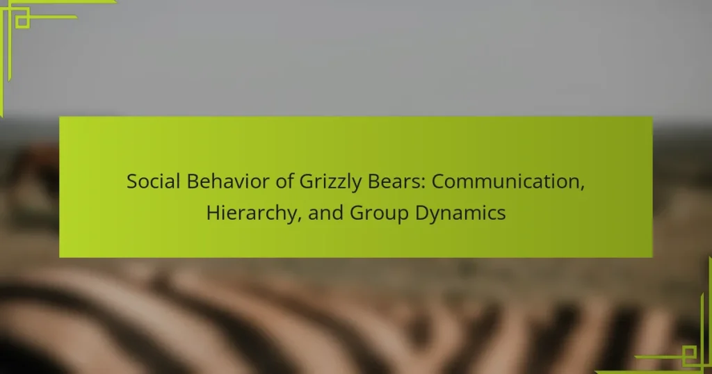 Social Behavior of Grizzly Bears: Communication, Hierarchy, and Group Dynamics