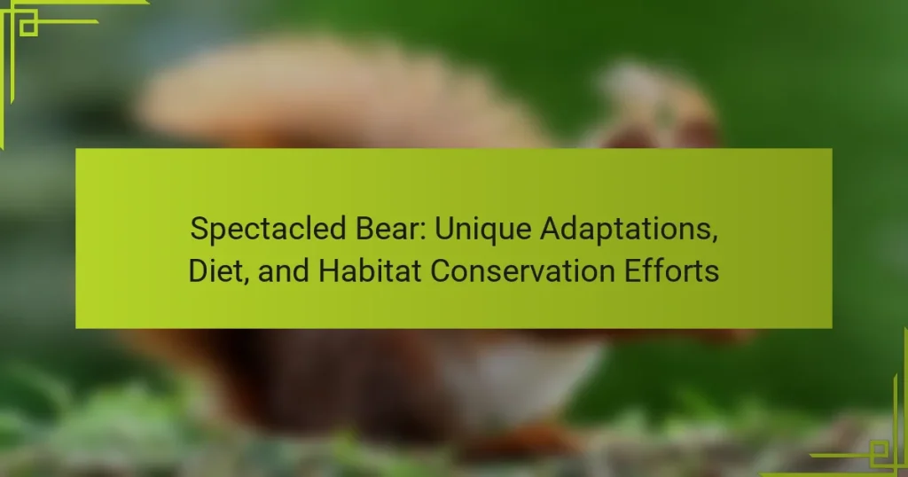 Spectacled Bear: Unique Adaptations, Diet, and Habitat Conservation Efforts