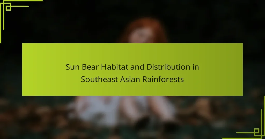 Sun Bear Habitat and Distribution in Southeast Asian Rainforests
