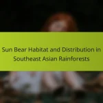 Sun Bear Habitat and Distribution in Southeast Asian Rainforests