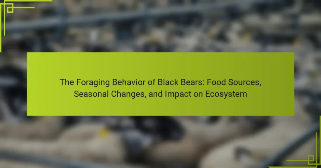 The Foraging Behavior of Black Bears: Food Sources, Seasonal Changes, and Impact on Ecosystem
