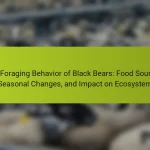 The Foraging Behavior of Black Bears: Food Sources, Seasonal Changes, and Impact on Ecosystem