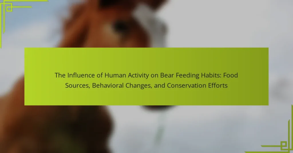 The Influence of Human Activity on Bear Feeding Habits: Food Sources, Behavioral Changes, and Conservation Efforts