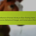The Influence of Human Activity on Bear Feeding Habits: Food Sources, Behavioral Changes, and Conservation Efforts