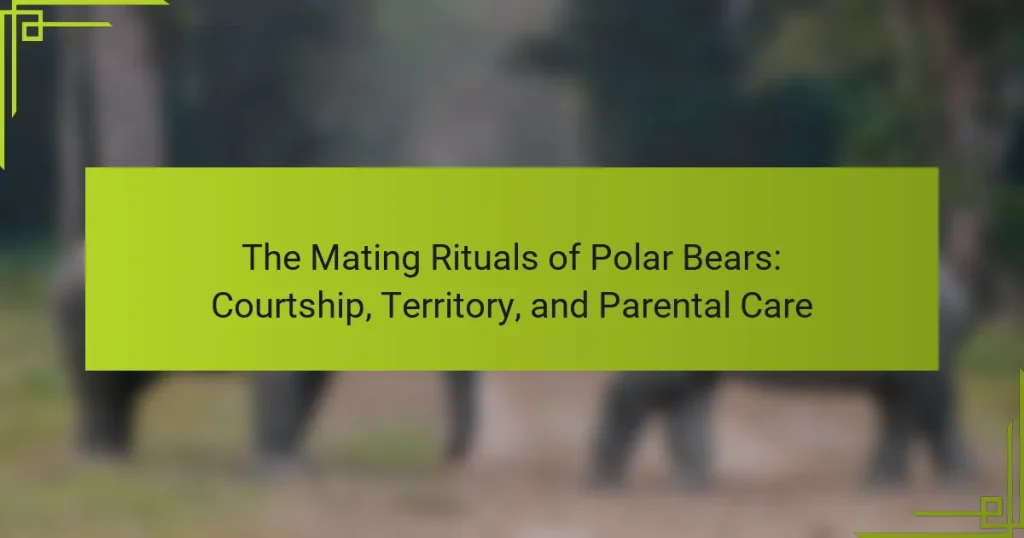 The Mating Rituals of Polar Bears: Courtship, Territory, and Parental Care