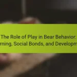 The Role of Play in Bear Behavior: Learning, Social Bonds, and Development