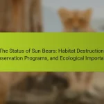 The Status of Sun Bears: Habitat Destruction, Conservation Programs, and Ecological Importance