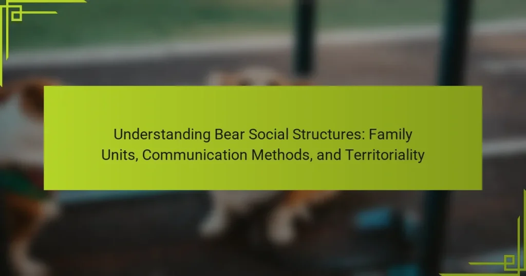 Understanding Bear Social Structures: Family Units, Communication Methods, and Territoriality