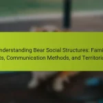 Understanding Bear Social Structures: Family Units, Communication Methods, and Territoriality