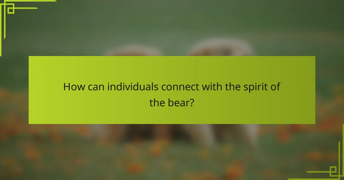 How can individuals connect with the spirit of the bear?
