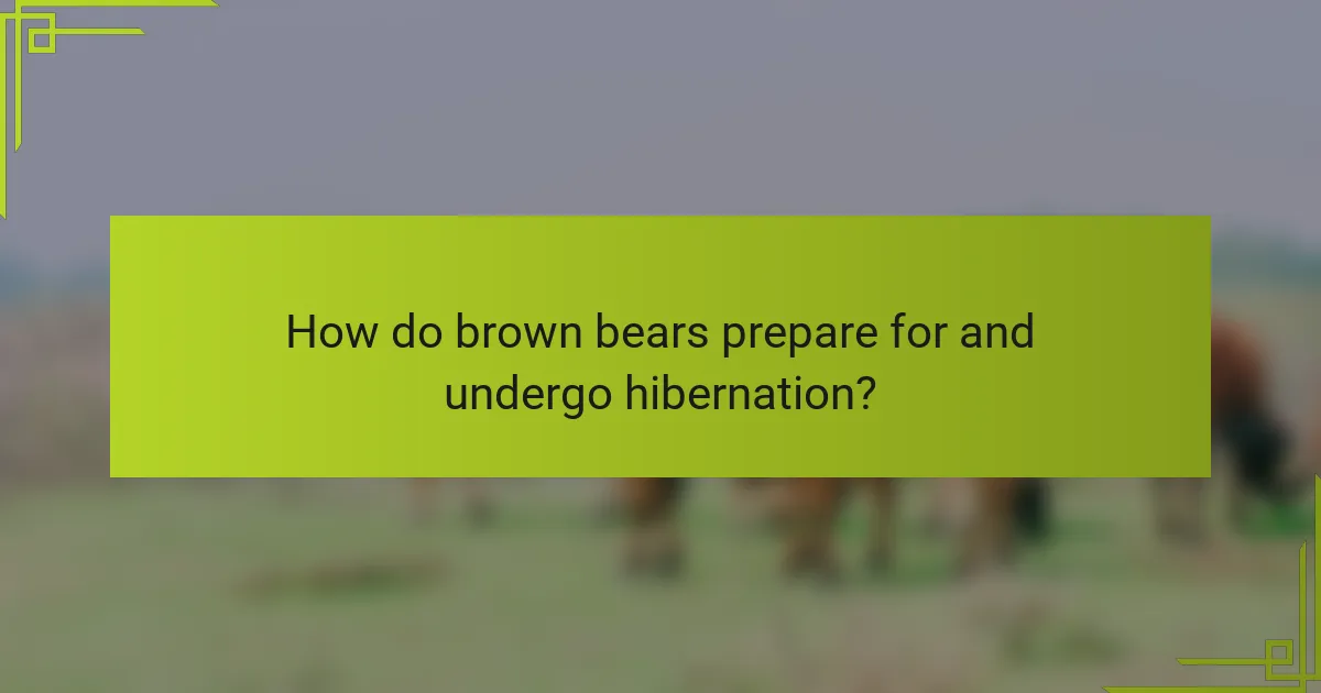 How do brown bears prepare for and undergo hibernation?