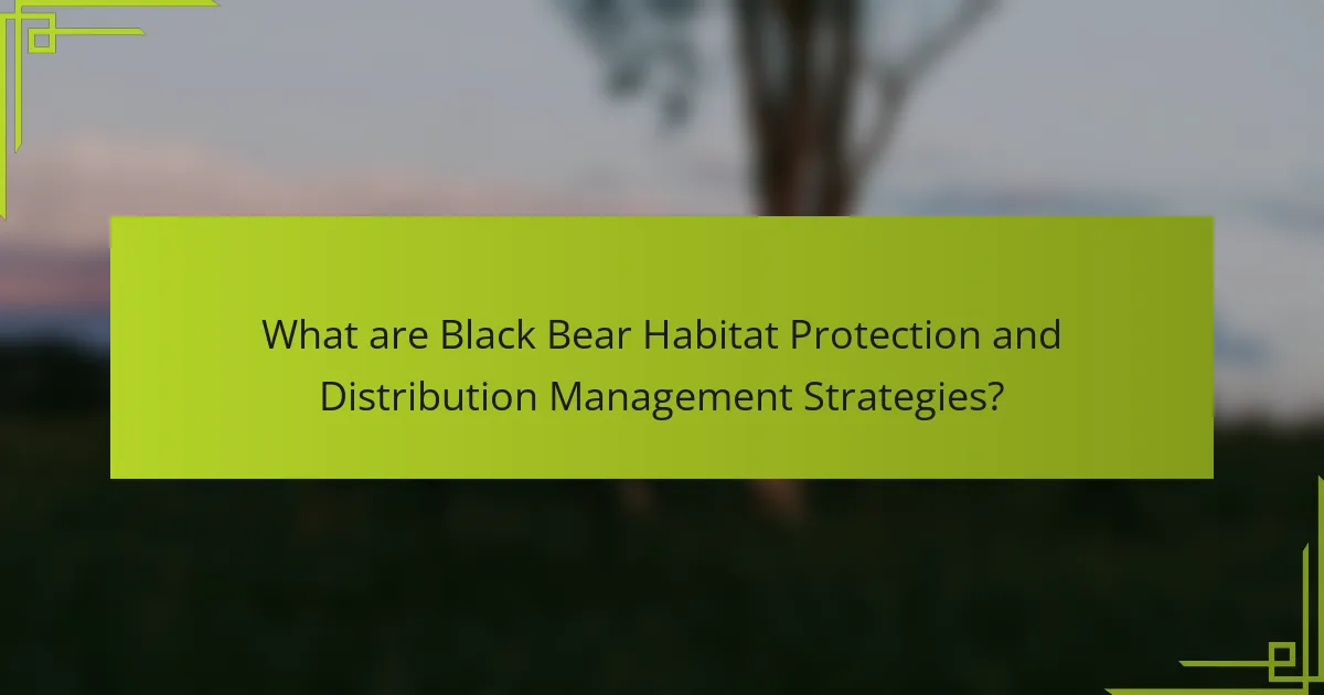 What are Black Bear Habitat Protection and Distribution Management Strategies?