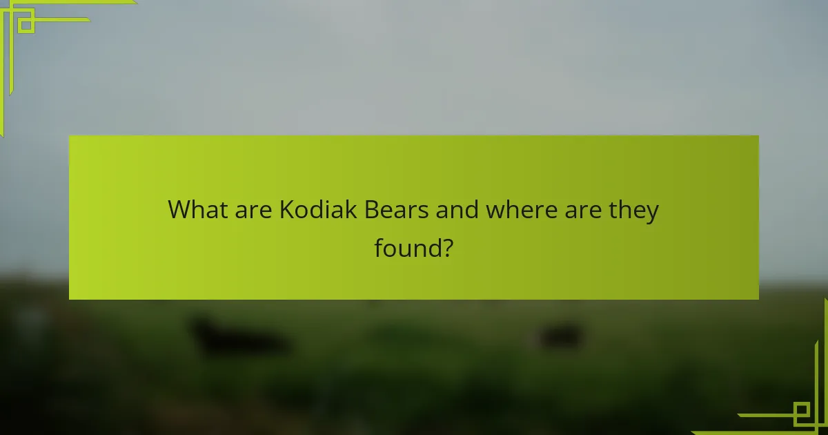 What are Kodiak Bears and where are they found?