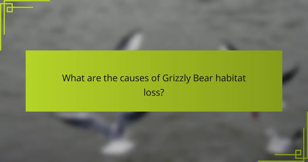 What are the causes of Grizzly Bear habitat loss?