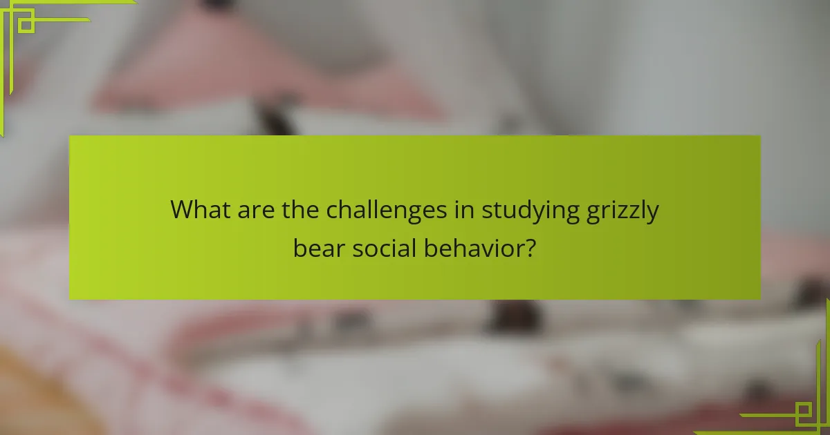 What are the challenges in studying grizzly bear social behavior?