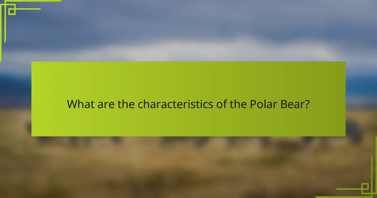What are the characteristics of the Polar Bear?