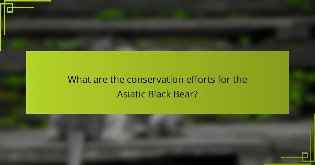What are the conservation efforts for the Asiatic Black Bear?