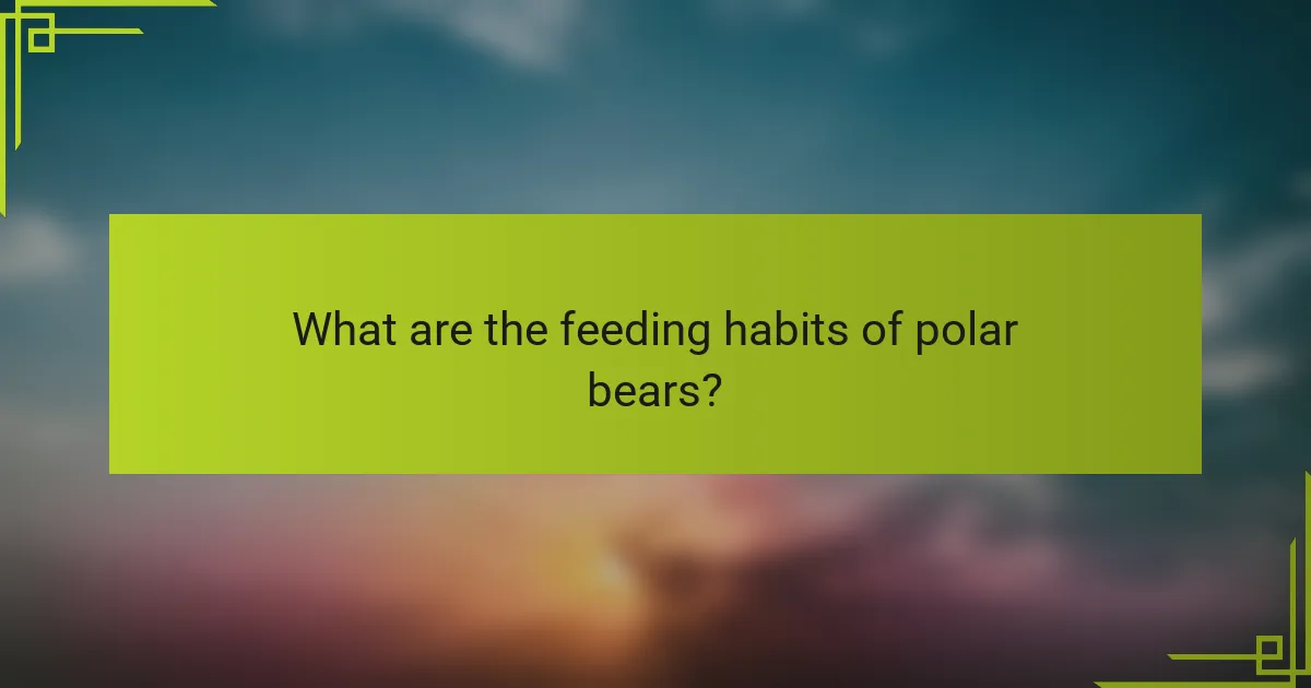What are the feeding habits of polar bears?