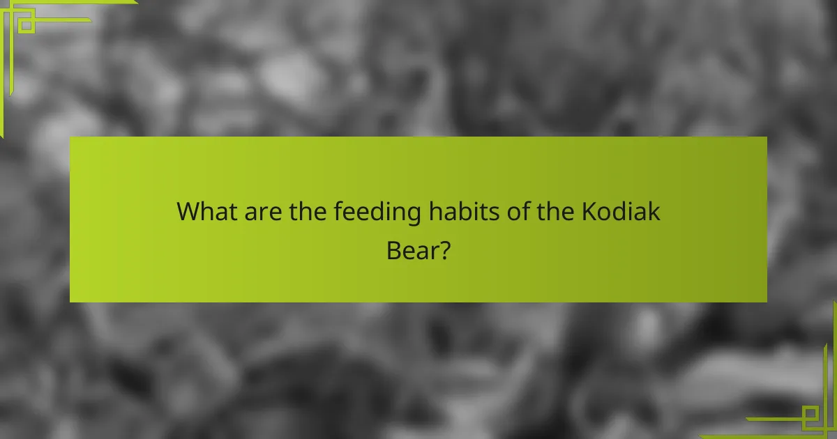 What are the feeding habits of the Kodiak Bear?