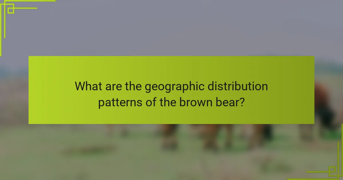 What are the geographic distribution patterns of the brown bear?