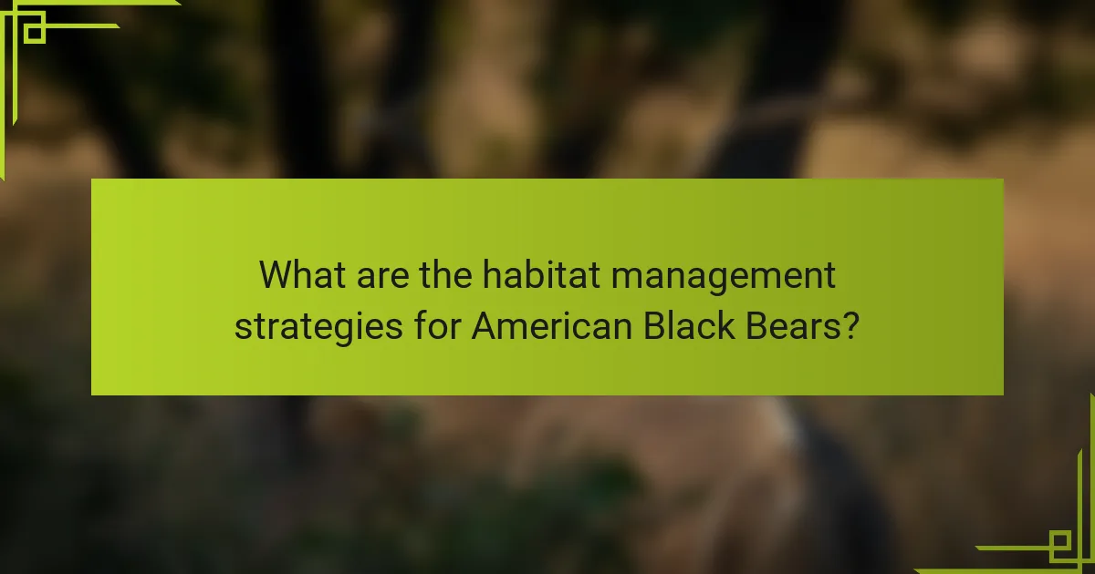 What are the habitat management strategies for American Black Bears?