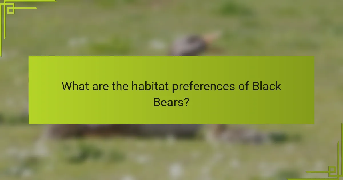 What are the habitat preferences of Black Bears?
