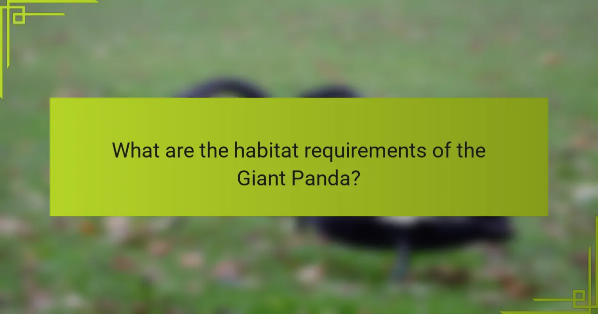 What are the habitat requirements of the Giant Panda?