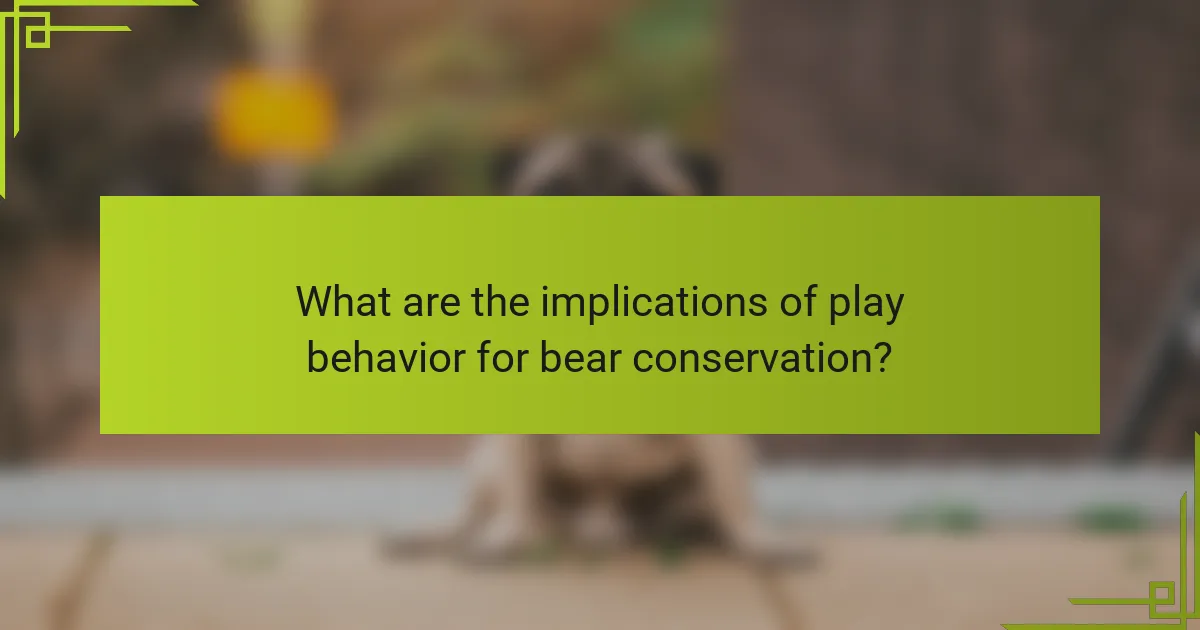 What are the implications of play behavior for bear conservation?