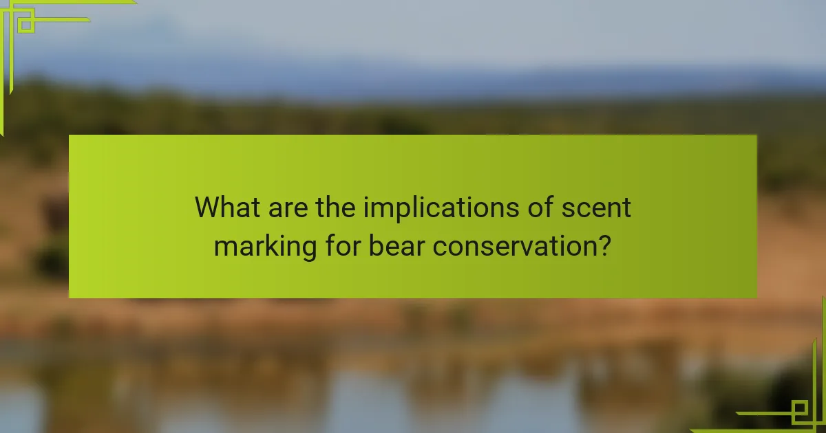What are the implications of scent marking for bear conservation?