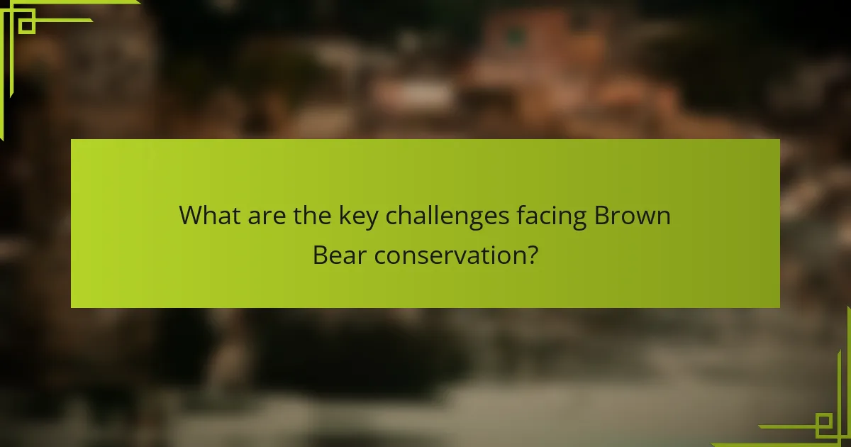 What are the key challenges facing Brown Bear conservation?