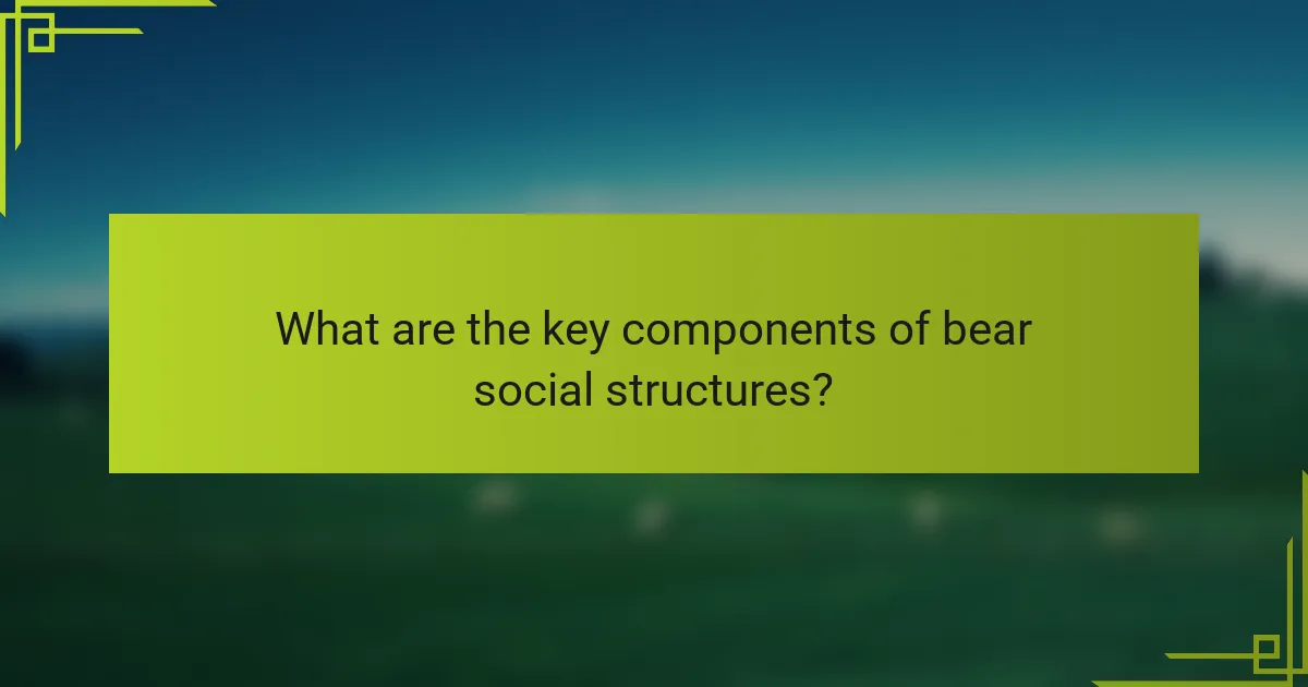 What are the key components of bear social structures?