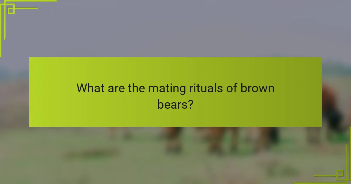 What are the mating rituals of brown bears?
