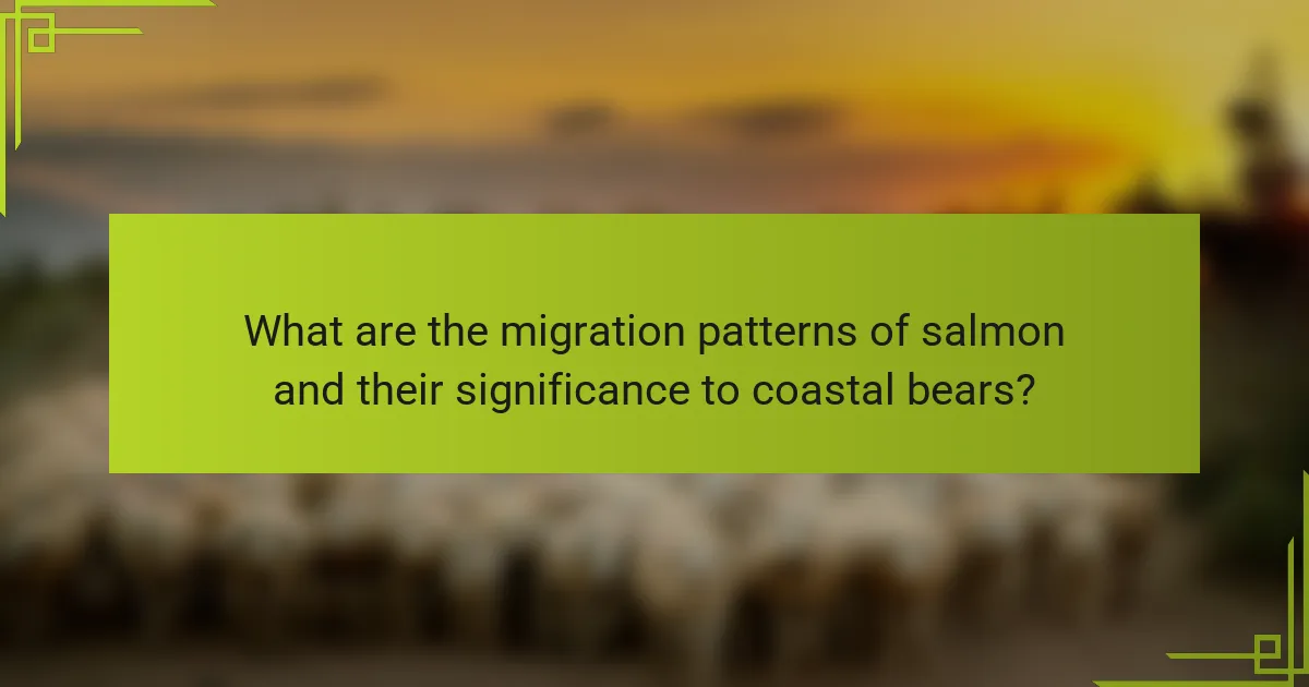 What are the migration patterns of salmon and their significance to coastal bears?