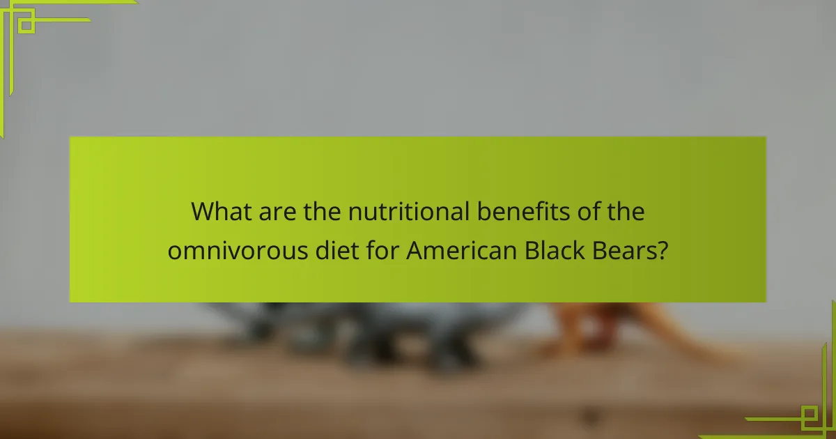 What are the nutritional benefits of the omnivorous diet for American Black Bears?