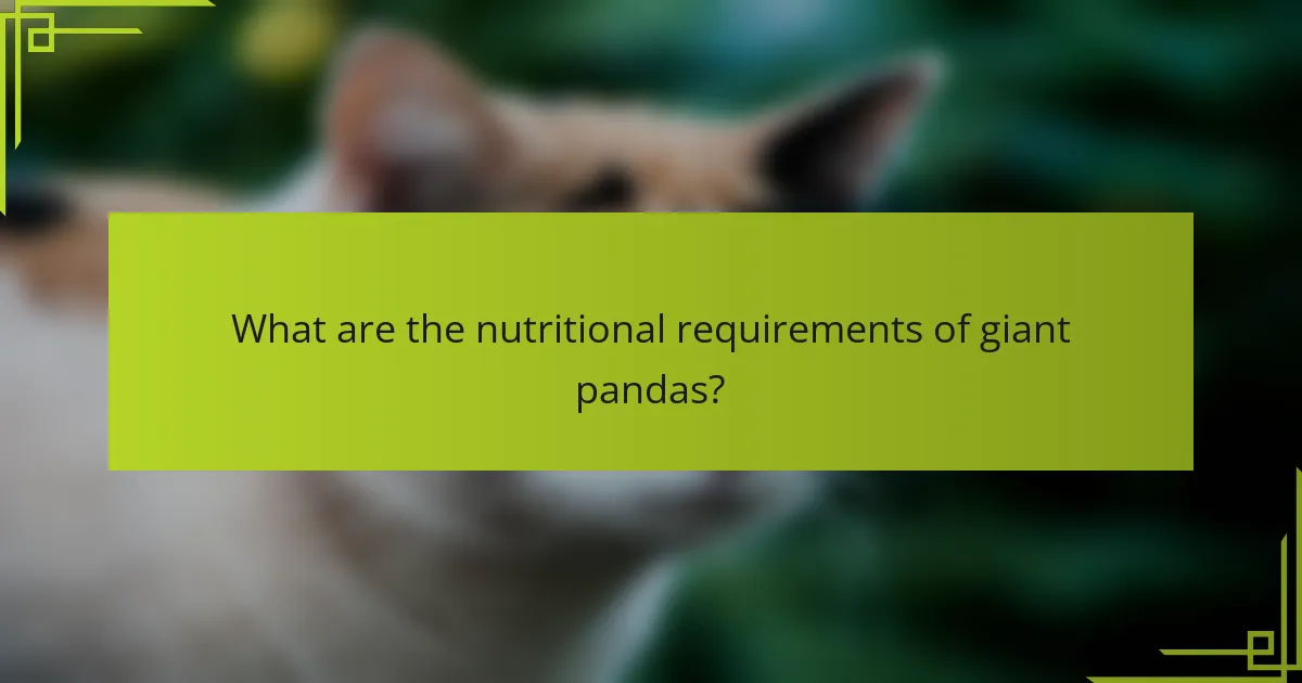 What are the nutritional requirements of giant pandas?