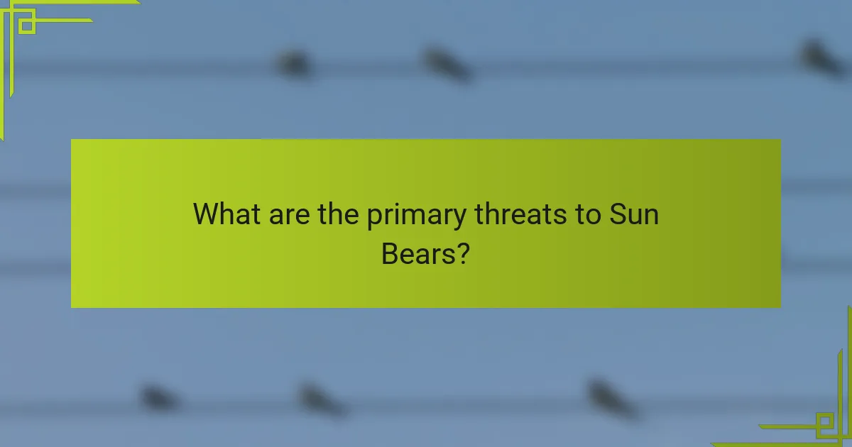 What are the primary threats to Sun Bears?