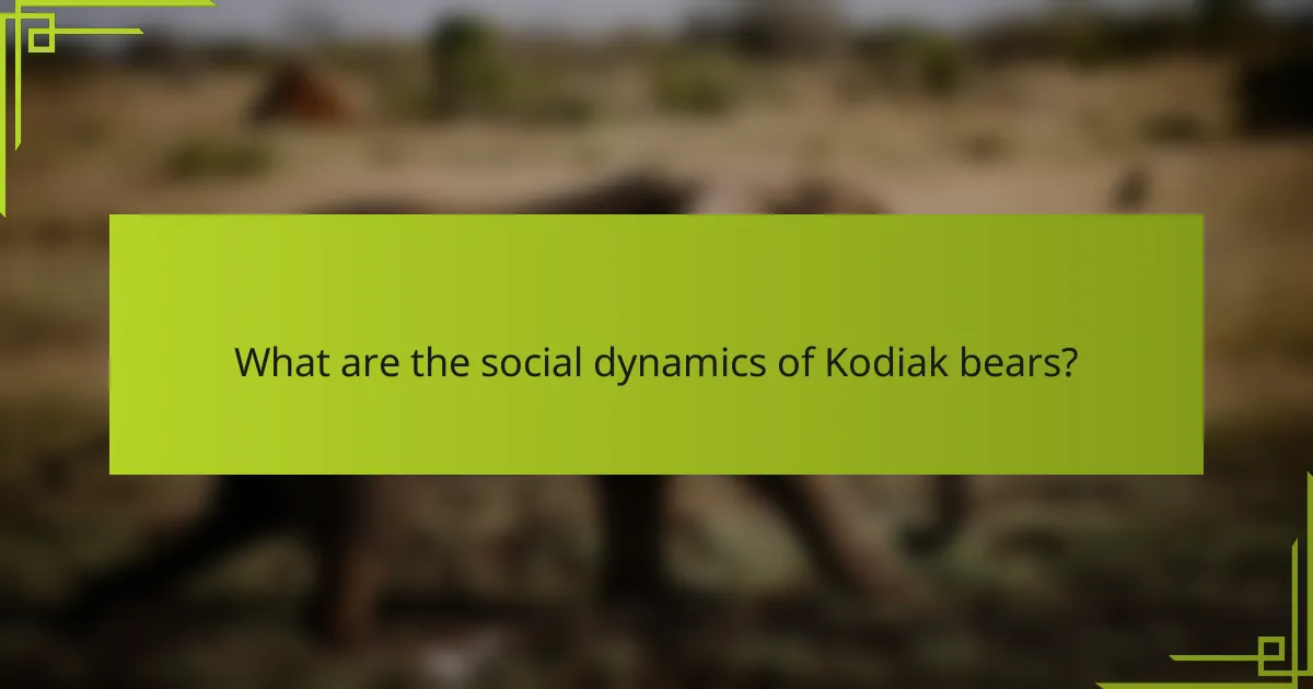 What are the social dynamics of Kodiak bears?