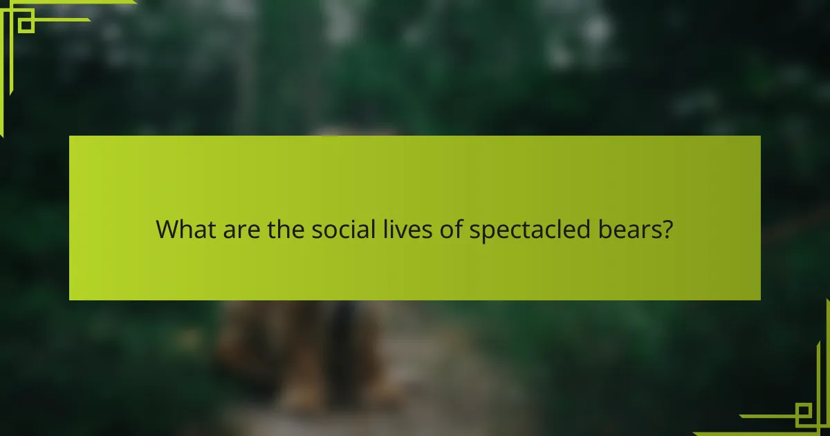 What are the social lives of spectacled bears?
