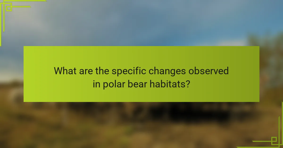 What are the specific changes observed in polar bear habitats?