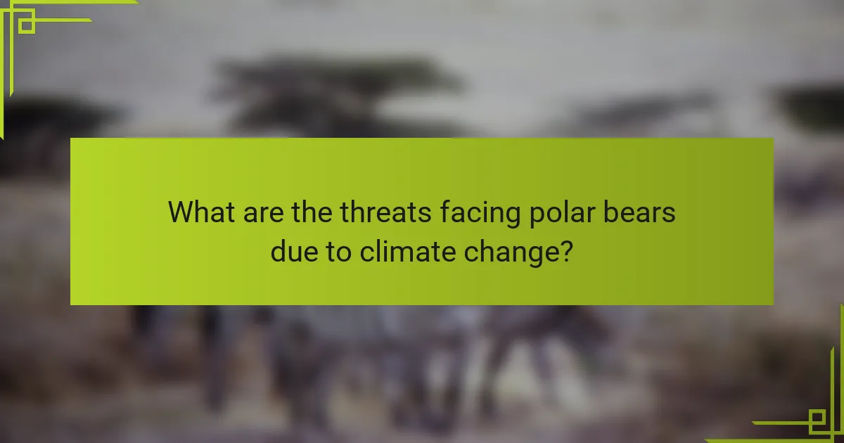 What are the threats facing polar bears due to climate change?