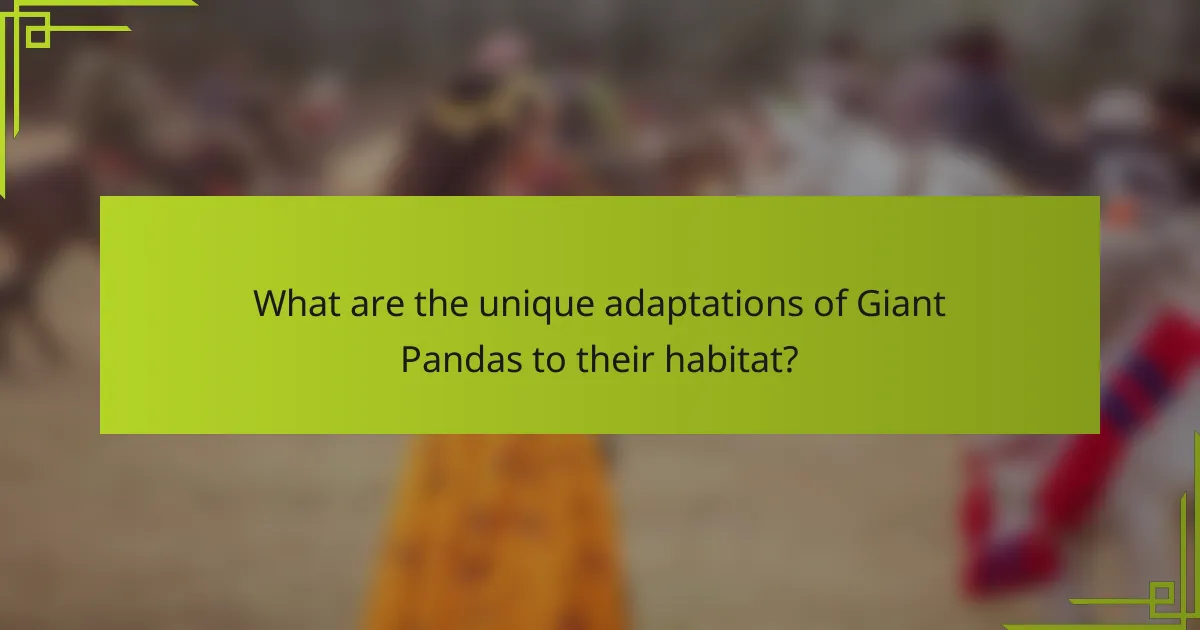 What are the unique adaptations of Giant Pandas to their habitat?