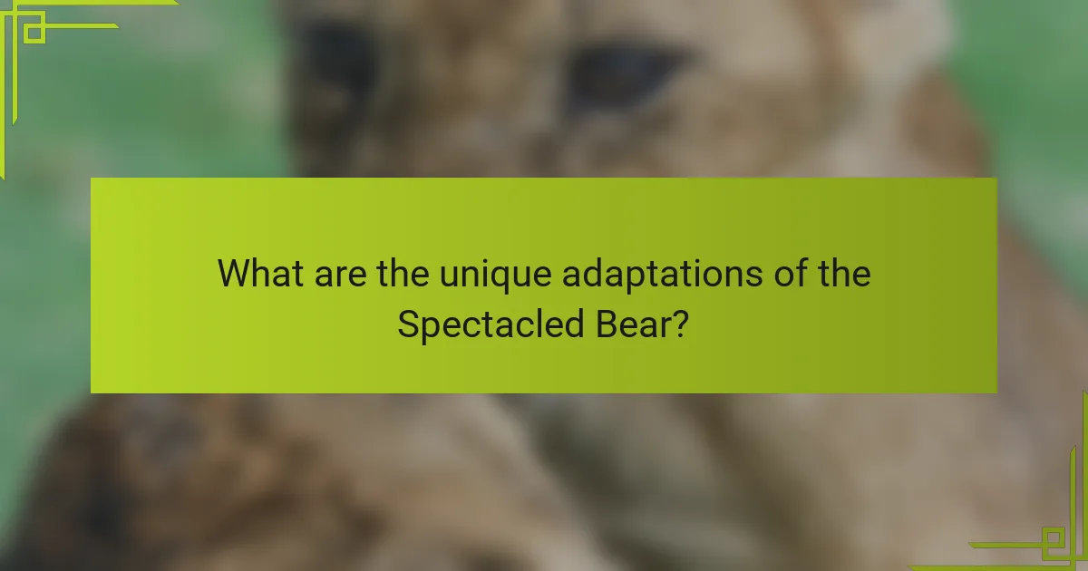 What are the unique adaptations of the Spectacled Bear?