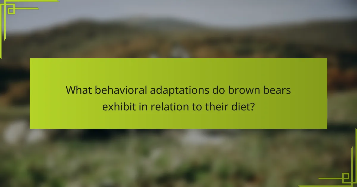What behavioral adaptations do brown bears exhibit in relation to their diet?