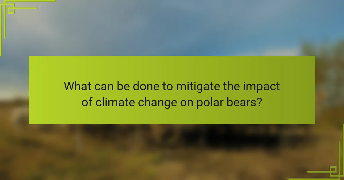 What can be done to mitigate the impact of climate change on polar bears?